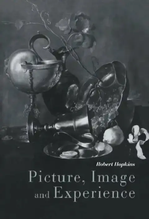 Cover of Picture, Image and Experience