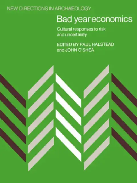 Cover of Bad Year Economics