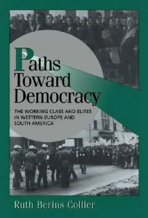Cover of Paths toward Democracy