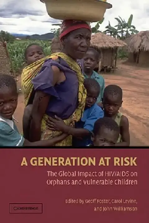 Cover of A Generation at Risk