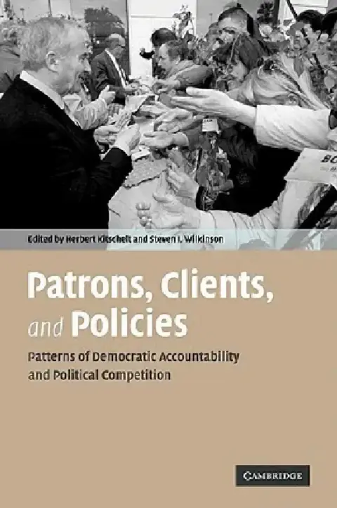 Cover of Patrons, Clients, and Policies