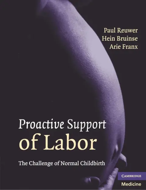 Cover of Proactive Support of Labor