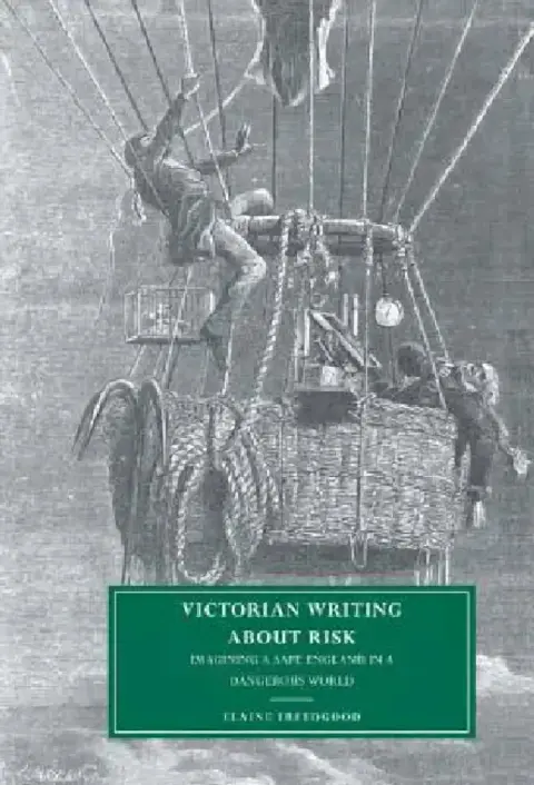 Cover of Victorian Writing about Risk