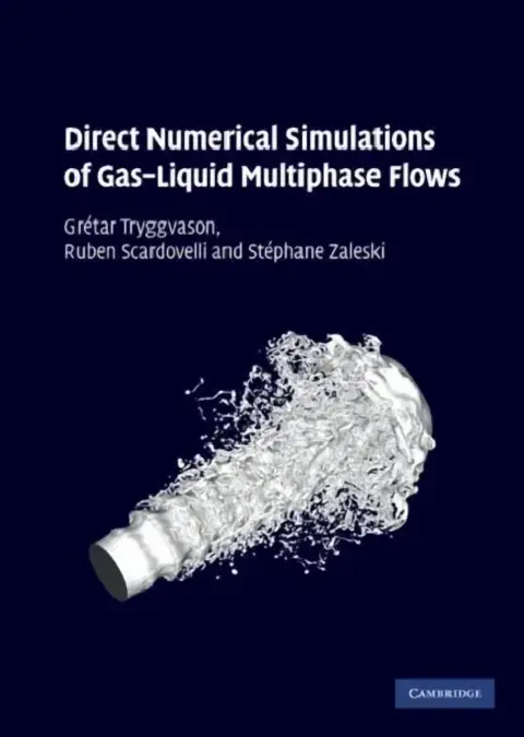 Cover of Direct Numerical Simulations of Gas-Liquid Multiphase Flows