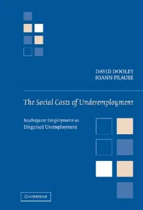 Cover of The Social Costs of Underemployment