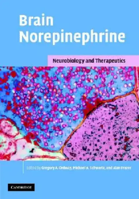 Cover of Brain Norepinephrine
