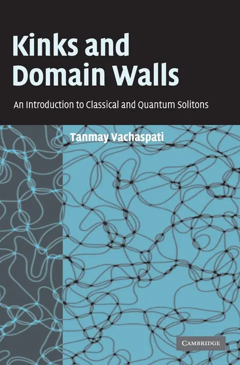Cover of Kinks and Domain Walls