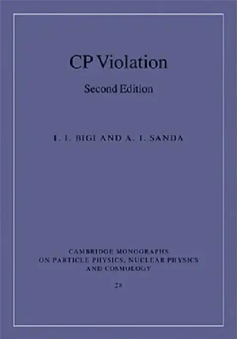 Cover of CP Violation