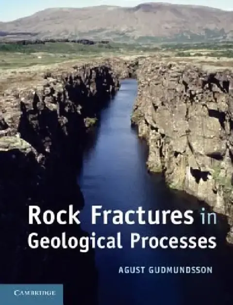 Cover of Rock Fractures in Geological Processes
