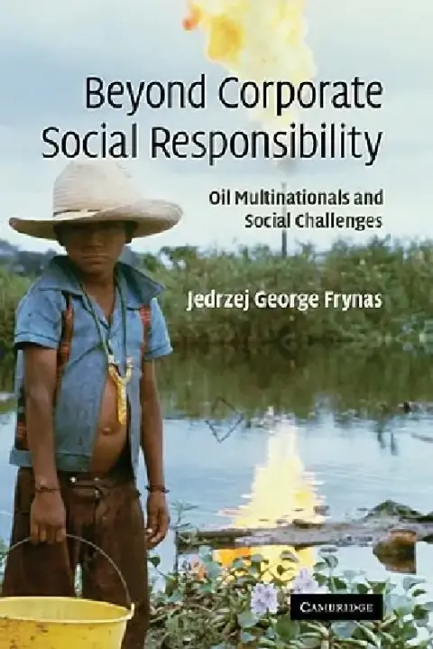 Cover of Beyond Corporate Social Responsibility