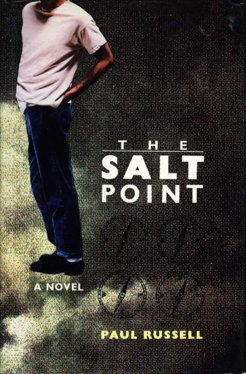 Cover of The Salt Point