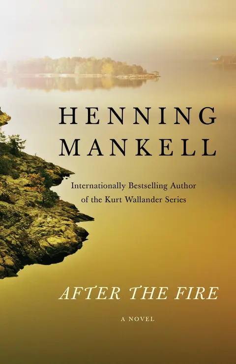 Cover of After the Fire