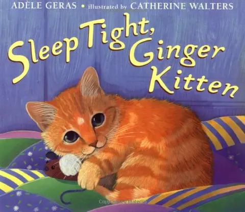 Cover of Sleep Tight, Ginger Kitten