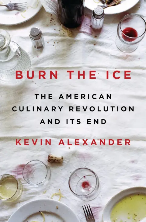 Cover of Burn the Ice