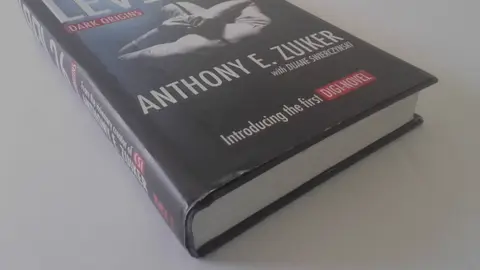 Cover of Level 26