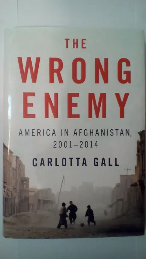 Cover of The Wrong Enemy