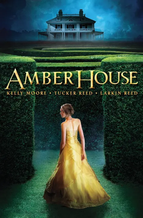 Cover of Amber House