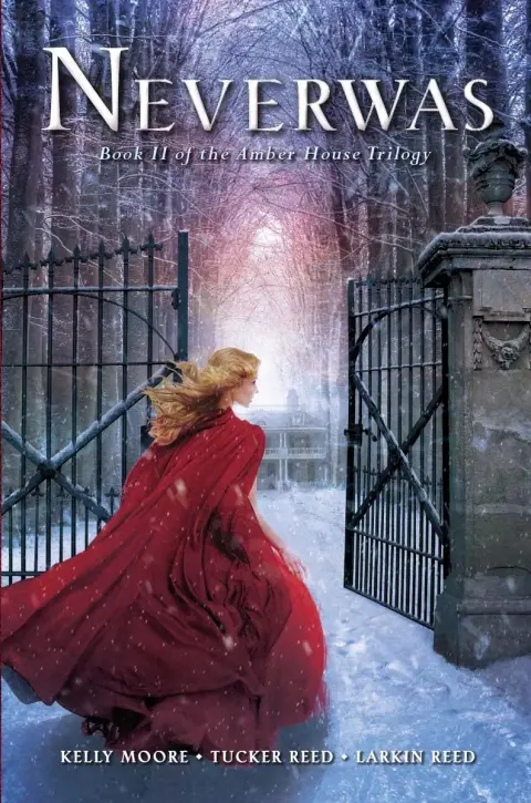 Cover of Amber House