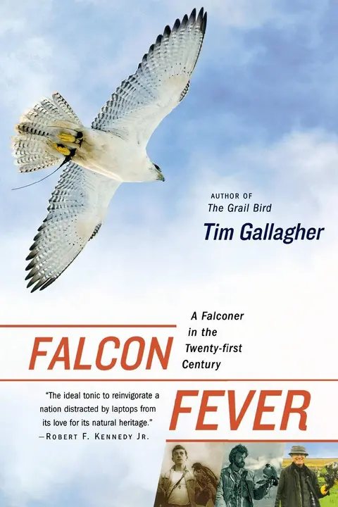 Cover of Falcon Fever