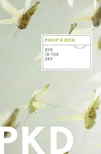 Cover of Eye-in-the-sky