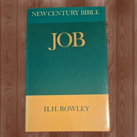 Cover of Job