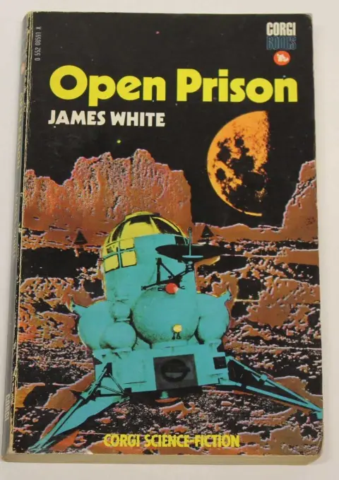 Cover of Open Prison