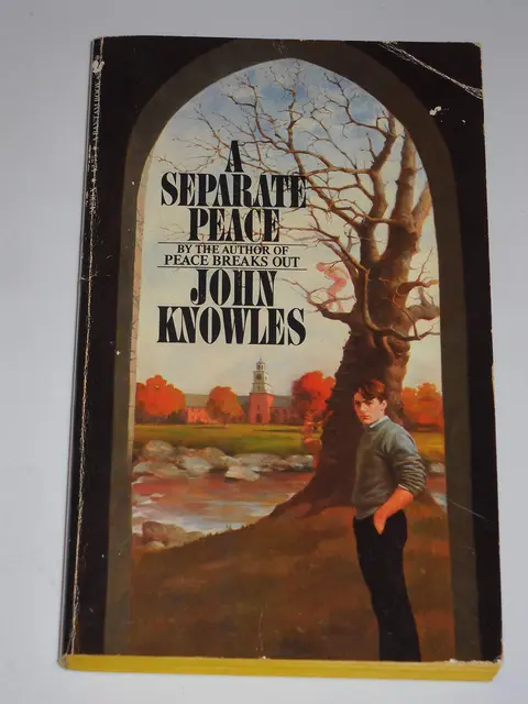 Cover of A Separate Peace