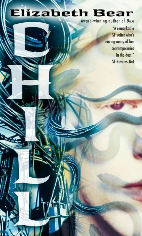 Cover of Elizabeth Bear's Chill