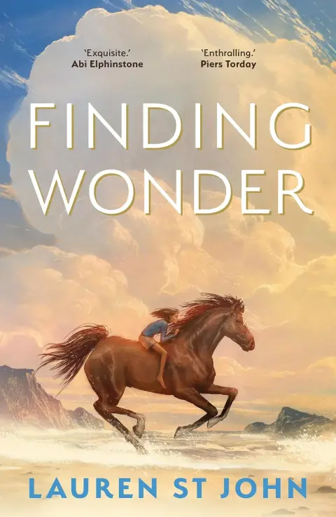 Cover of Finding Wonder