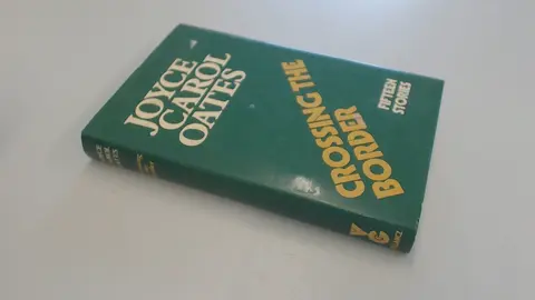 Cover of Crossing the Border