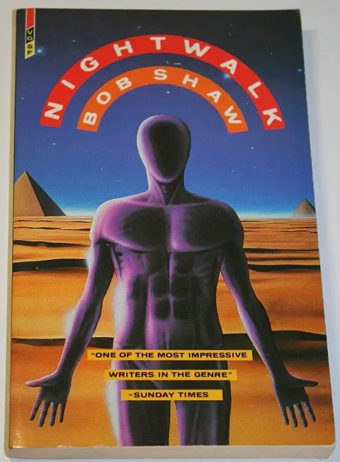 Cover of Night Walk