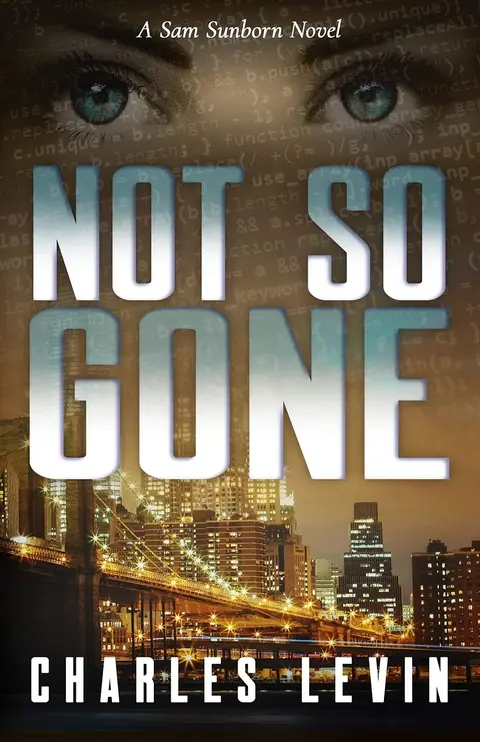 Cover of Not So Gone