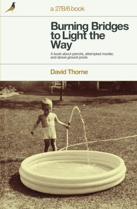 Cover of Burning Bridges to Light the Way