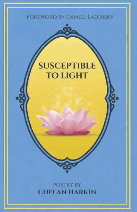 Cover of Susceptible to Light