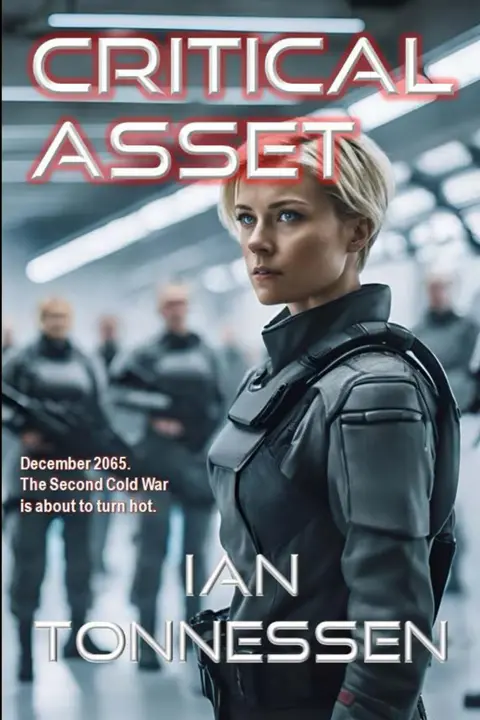 Cover of Critical Asset