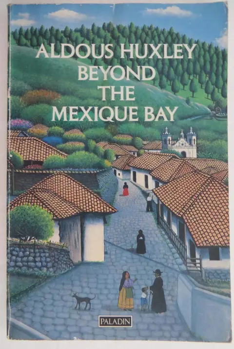 Cover of Beyond the Mexique Bay