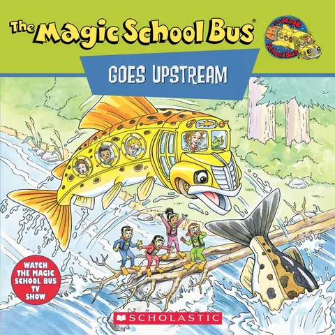 Cover of Msb