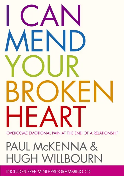Cover of I Can Mend Your Broken Heart