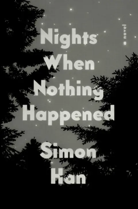 Cover of Nights When Nothing Happened