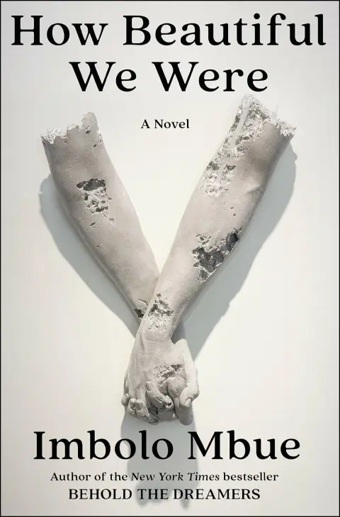Cover of How Beautiful We Were
