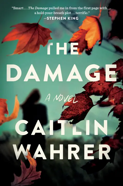 Cover of The Damage