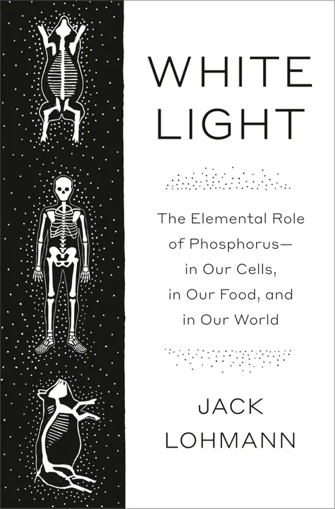 Cover of White Light