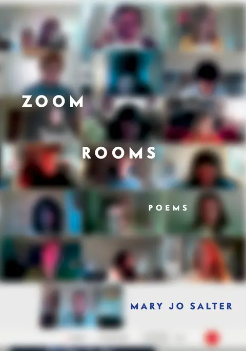 Cover of Zoom Rooms