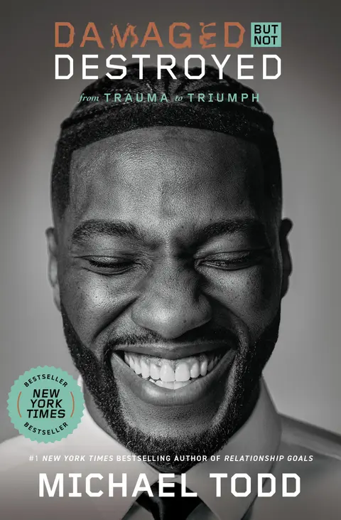 Cover of Damaged but Not Destroyed
