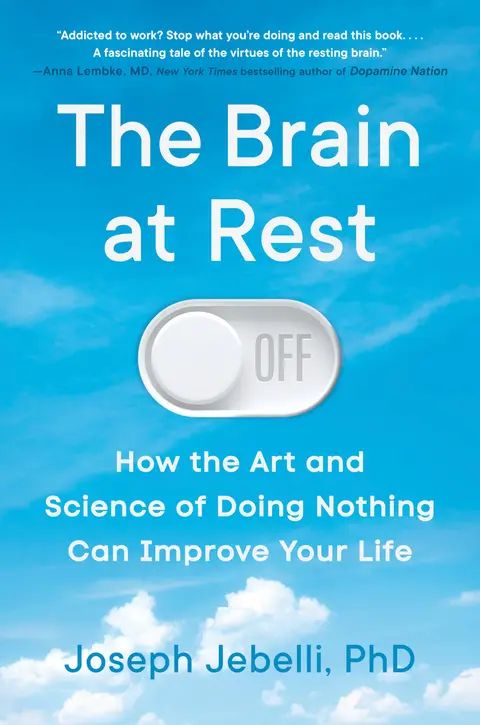 Cover of The Brain at Rest