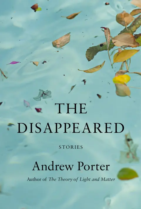 Cover of The Disappeared