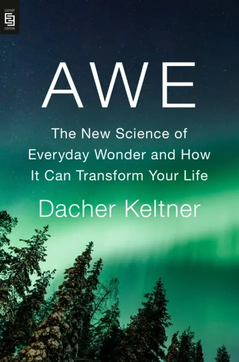 Cover of Awe