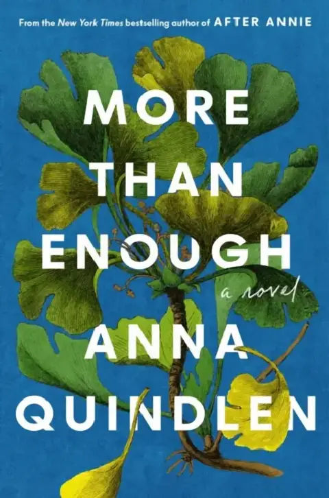 Cover of More Than Enough