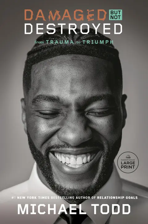 Cover of Damaged but Not Destroyed
