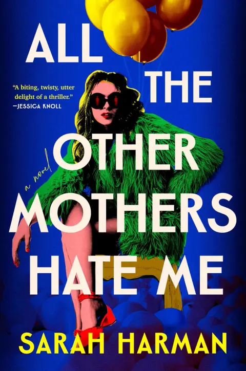 Cover of All the Other Mothers Hate Me